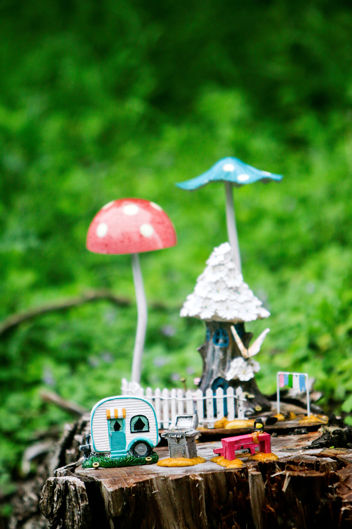 fairy gardens 061322 0196 WEB.jpg